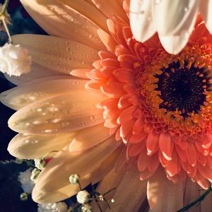 Meet your Posher, Noemy